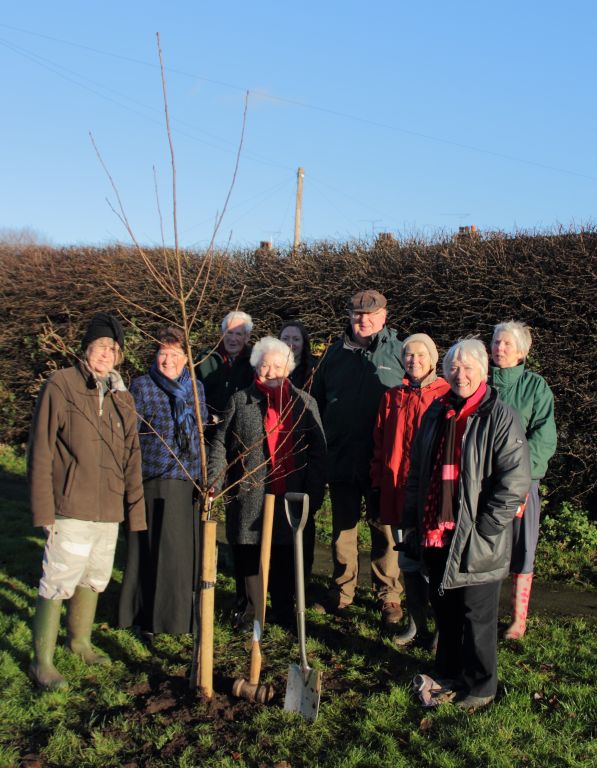 A Bird Cherry is planted adjacent to Park View, Hankelow, to commemorate Hankelow's winning Cheshire Community Action's 'Community Spirit' award in 2012