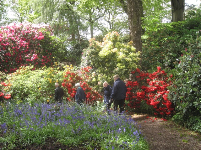 Photographs taken during the visit to the Dorothy Clive Gardens in May 2014