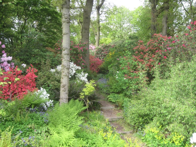 Photographs taken during the visit to the Dorothy Clive Gardens in May 2014