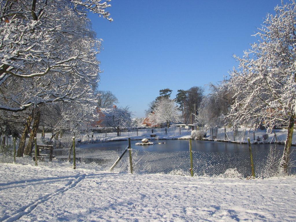 The Village Pond on Boxing Day 2004