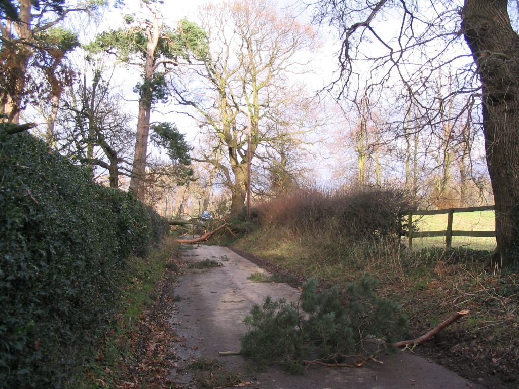 Wind damage in Hall Lane on 18th January 2007